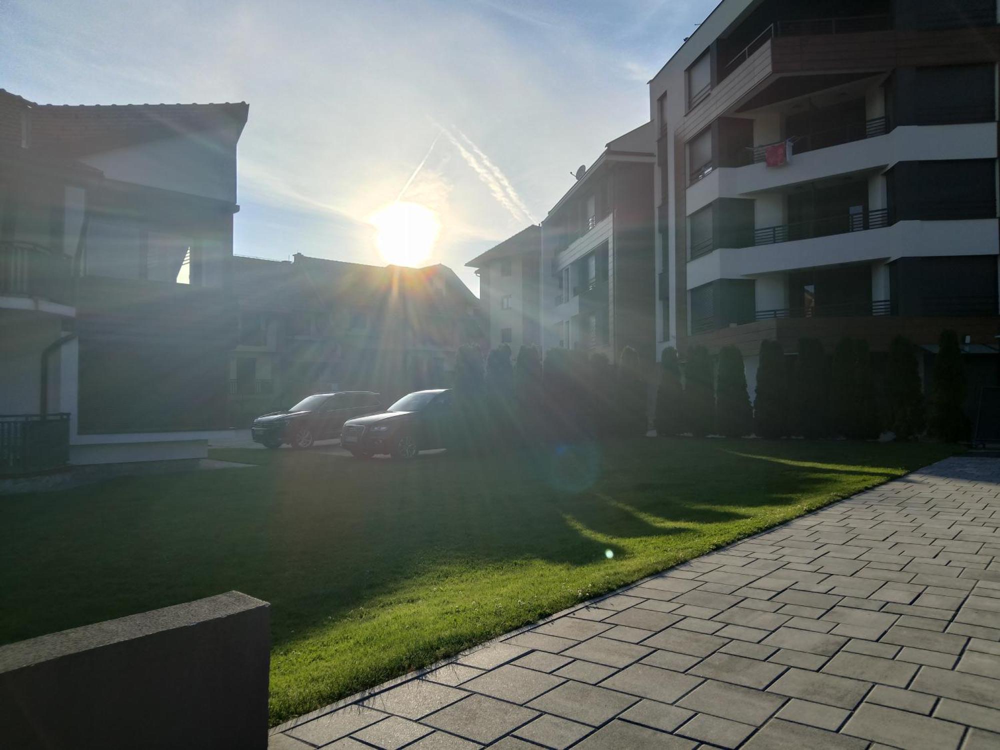 Srna * Zlatibor